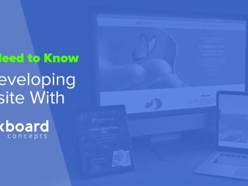 Website Design and Development Process